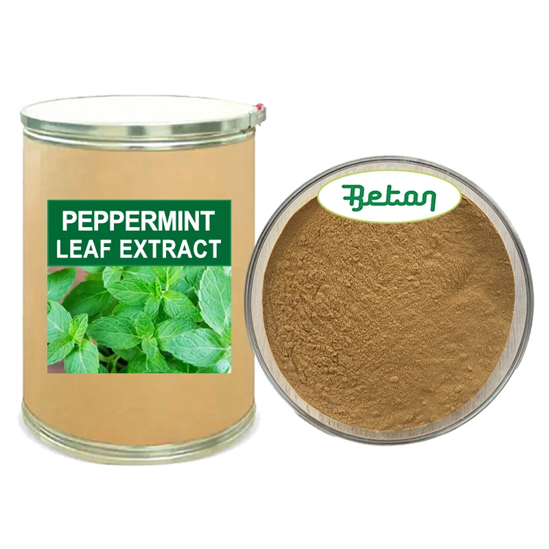 Bulk Organic Pure Natural Plant Extract Ingredient 10:1 20:1 Peppermint Leaf Extract Halal Mentha Piperita Extract 10:1 20:1