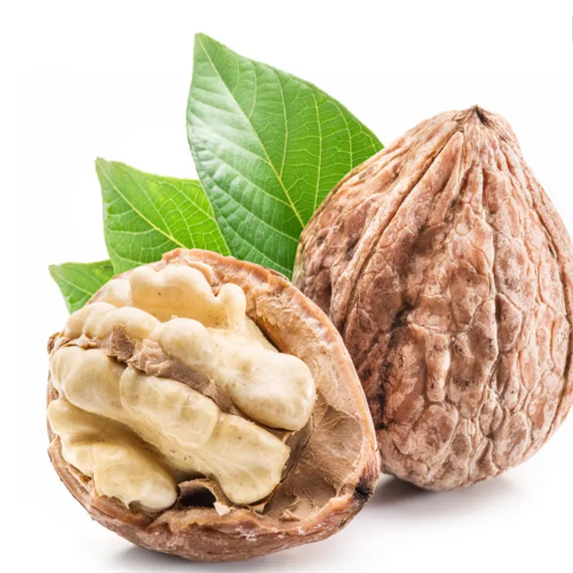 Chinese Raw Dry Clean Walnut with Shell Wholesale Plant for Export