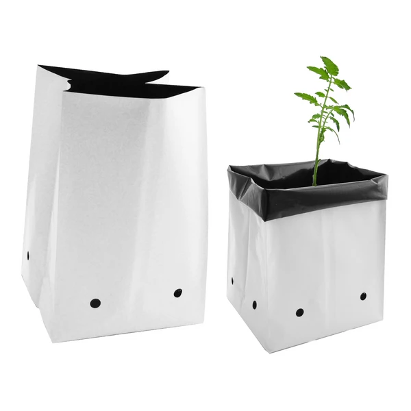 White and black plastic planting bags for tomato planting