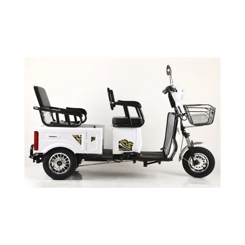 China 48V 600/800W Three Wheeled Motorcycles People Elderly 3 Wheel Motorcycle Cargo Electric Tricycle For Adults