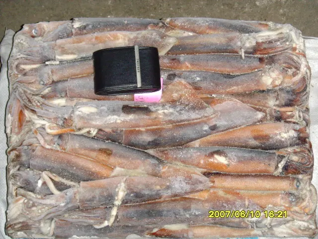 Замороженный кальмар, полностью очищенный и круглый, по лучшей цене, Неочищенный lолиготодарод, индийский лес Iqf, 100300 г для продажи
