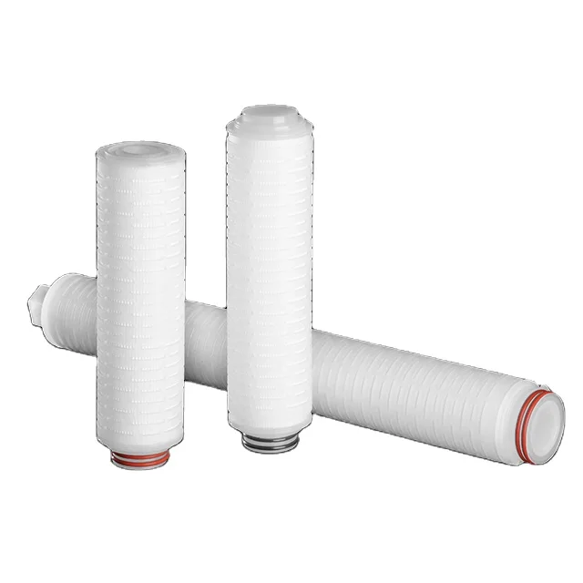 Pharmsteri PES Filter Cartridge Entegris Global Brand 0.22+0.45um Code 7 Silicone 10inch