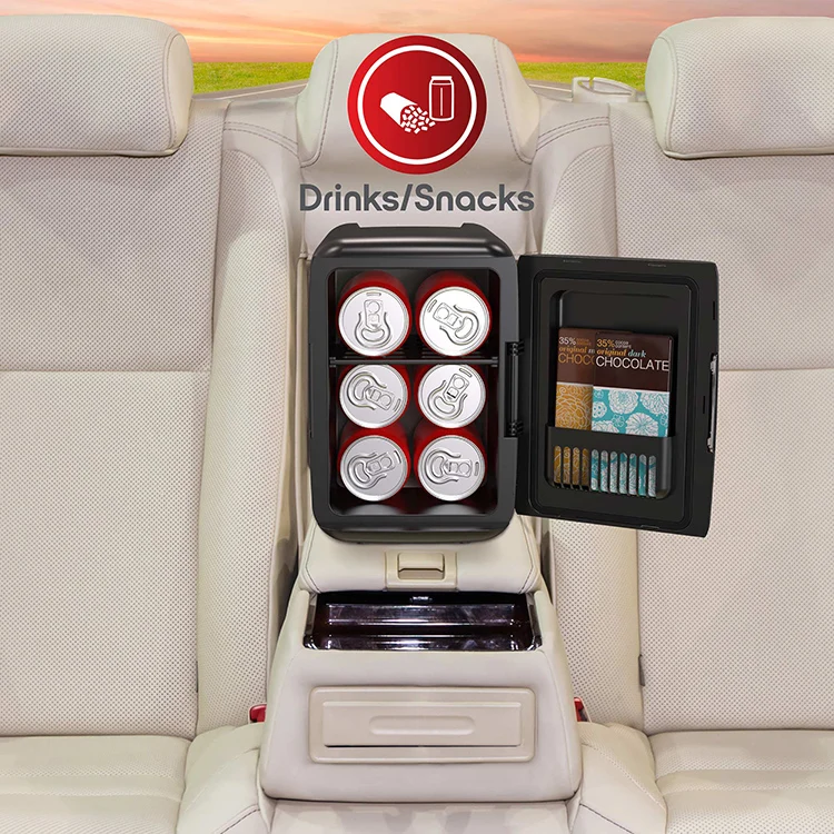 4L Dc 12v Ac 110v 240v Thermoelectric Cooler Box Car Outdoor Camper Fridge And Refrigerator