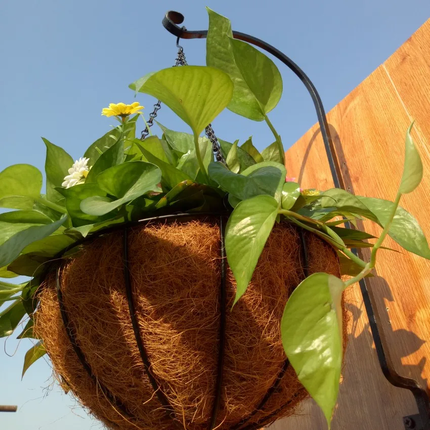 China Factory Made Garden Supplies Decorative Iron Wire Metal Wall Flower Stand