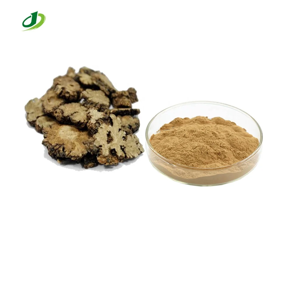 Rhizoma Chuanxiong Extract Powder Szechwan Lovage Rhizome Extract Chuanxiong Extract 20:1