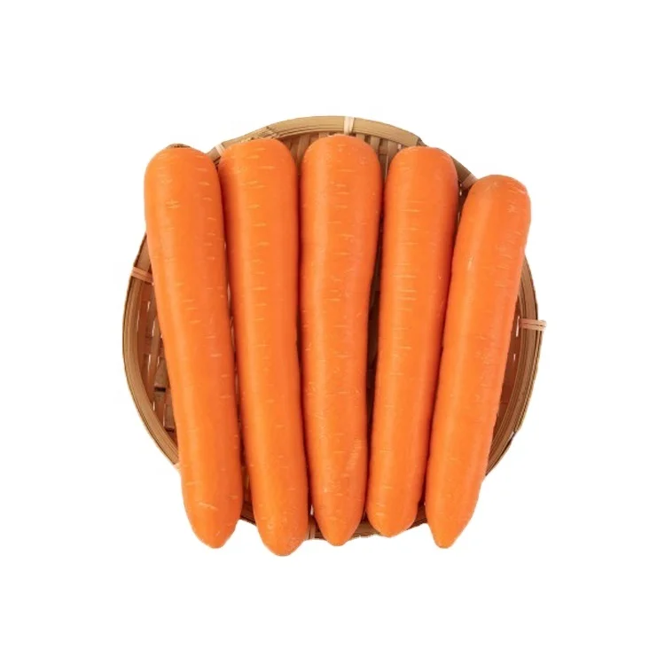 
China crop tasty sweet carrot fresh Red carrot 