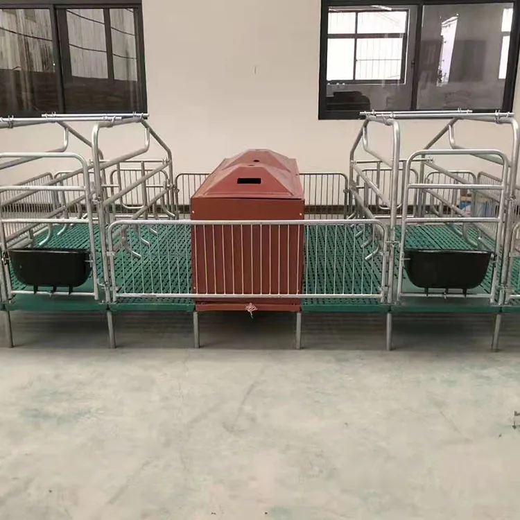 Animal cage European type  pig farming equipment double pig farrowing crate pig cages