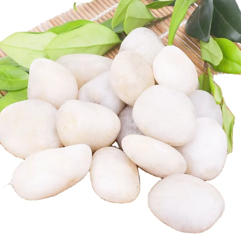 Competitive Supply Natural Decorative Mixed High Polished Pebbles