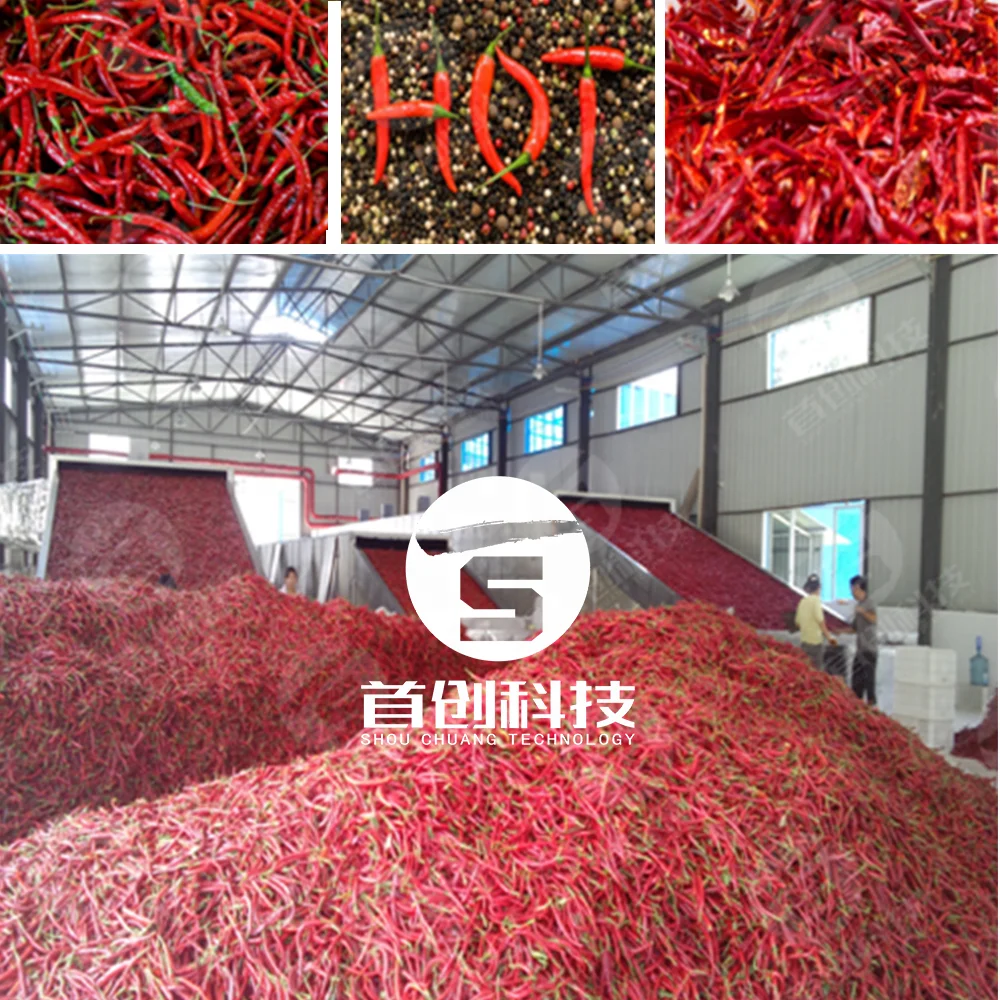 Pimiento dried chillies red paprika cayenne hot pepper drying dryer machine