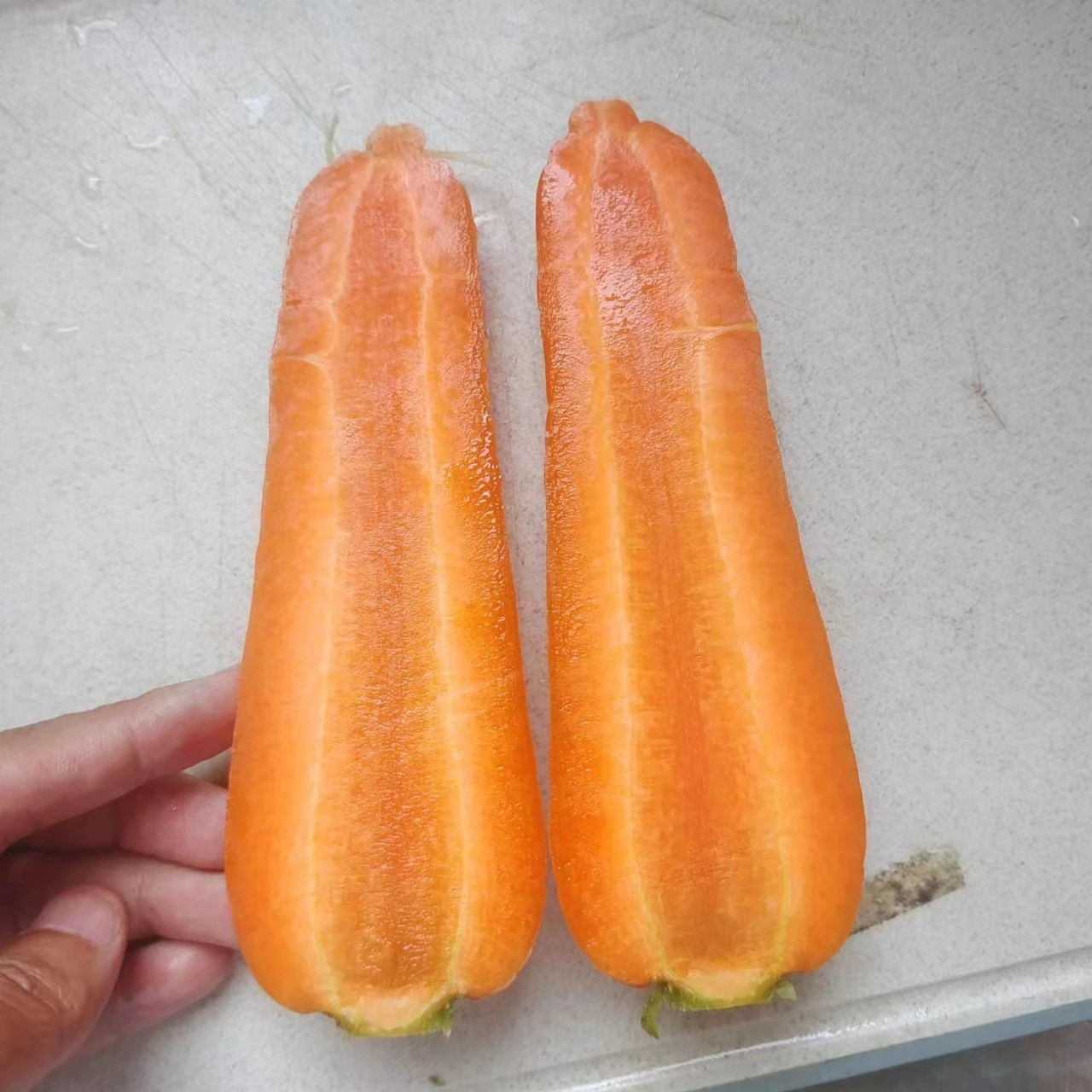 The great Shandong carrot bright red yellow and  taste sweet, new crop and well preserved in storage,all size available