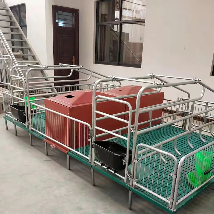 Animal cage European type  pig farming equipment double pig farrowing crate pig cages