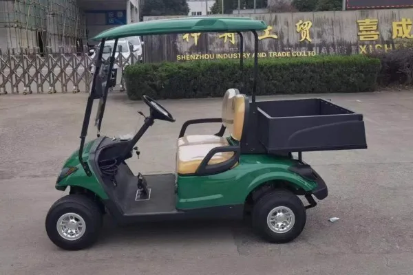 4 wheel 2 seats mini ezgo gasoline golf cart made in China