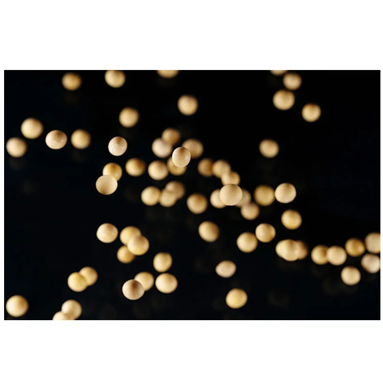 Cheap price better non-gmo organic yellow soybeans for sale with high protein