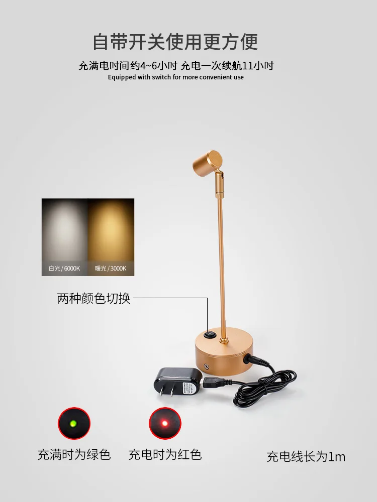 LED rechargeable spotlight lamp1W high pole