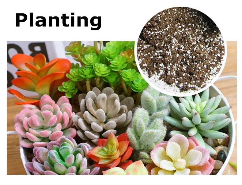 Best perlite for agriculite plant agricultural perlite 3-6mm bulk expanded perlite