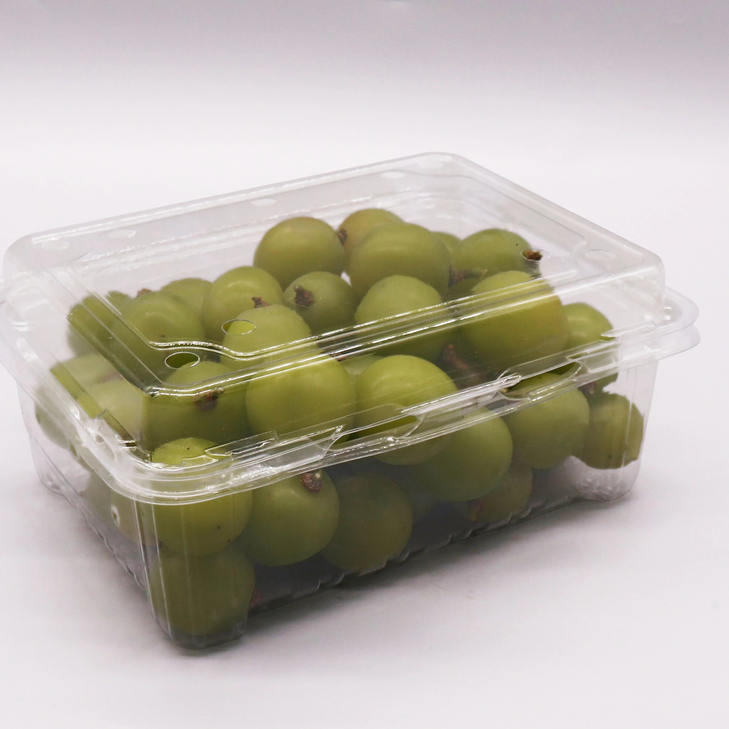 Good sale PET material clear hinged lid fruits container disposable food packing plastic box