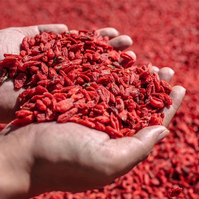 
Hot Selling 2021Year Top Quality Red Medlar Dried Fruit Organic Goji Berry Fruit Product 