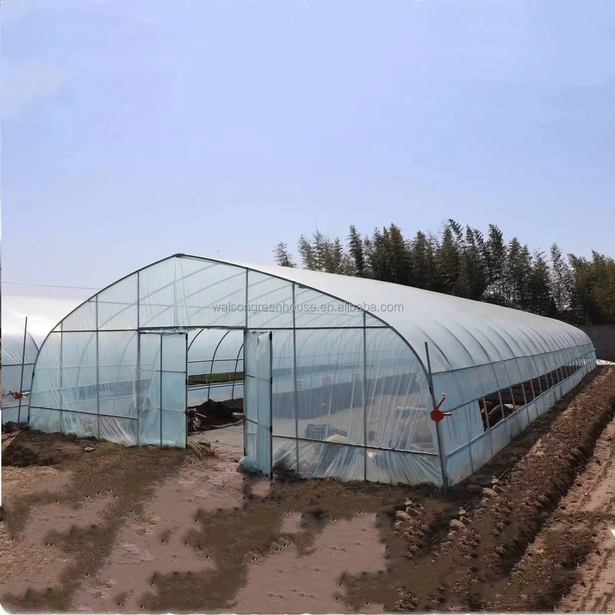 Commercial Manufacturing Greenhouse Kit Arch Plastic Film Single-span Tunnel Greenhouse