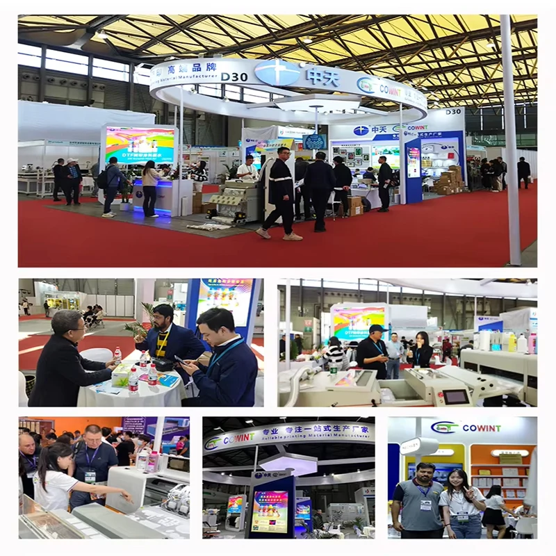 Cowint 3D A3 A2 Roll to Roll UV Printer Direct to Film Digital Inkjet Flatbed Multicolor 300mm Print Dimension for A/B Film