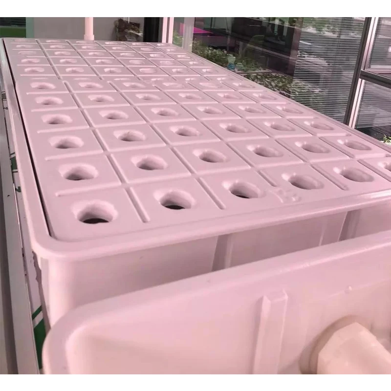 Custom Vacuum Forming White Flat Tray Plastic Blister Packaging Planting Seed Tray Growing Trays