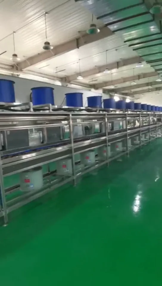 20 to 85  tons /24 hrs  palm dates washing drying  machine  for industrial dates washing sorting drying production