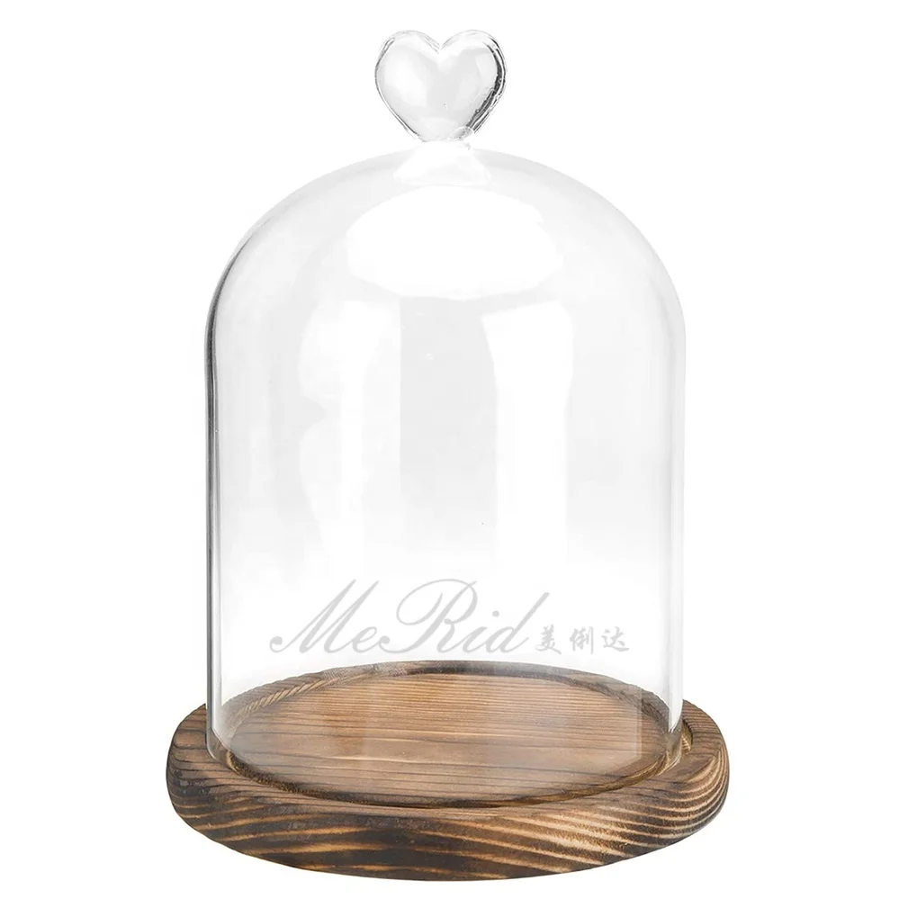 High Quality Custom size Exquisite Clear Glass Cloche Dome Bell Jar with Wooden Base Eco-friendly