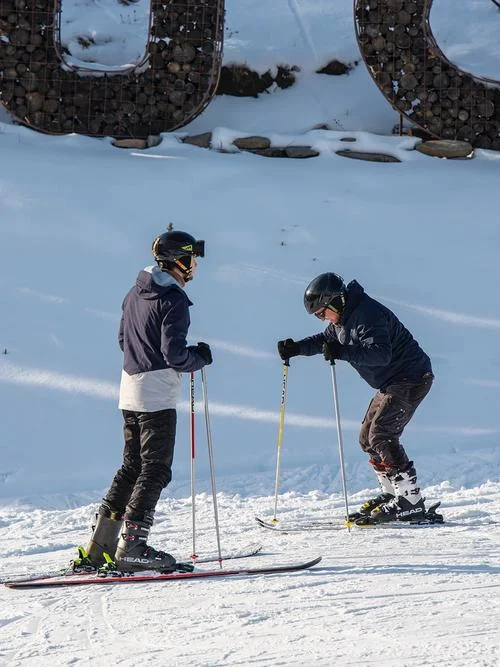 Wholesale price  imported   snowboard  alpine   mountain skis and snowboard