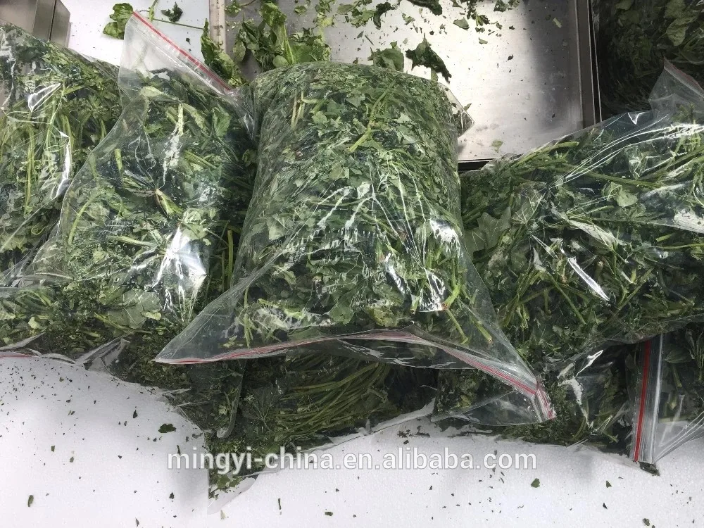 2023 Popular 6kg/Batch Cheap Lyophilizer Machine Price For Fruit,Food