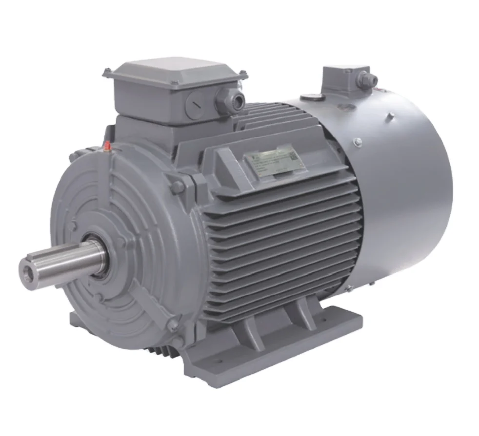 Siemens Best Price SIEMENS 15kw 110kw 200kw 250kw 315kw Variable Frequency YVF2 Three-phase Induction Motor