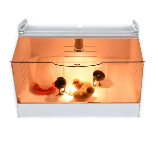 baby chick brooder heater with great price reptile poultry brooders