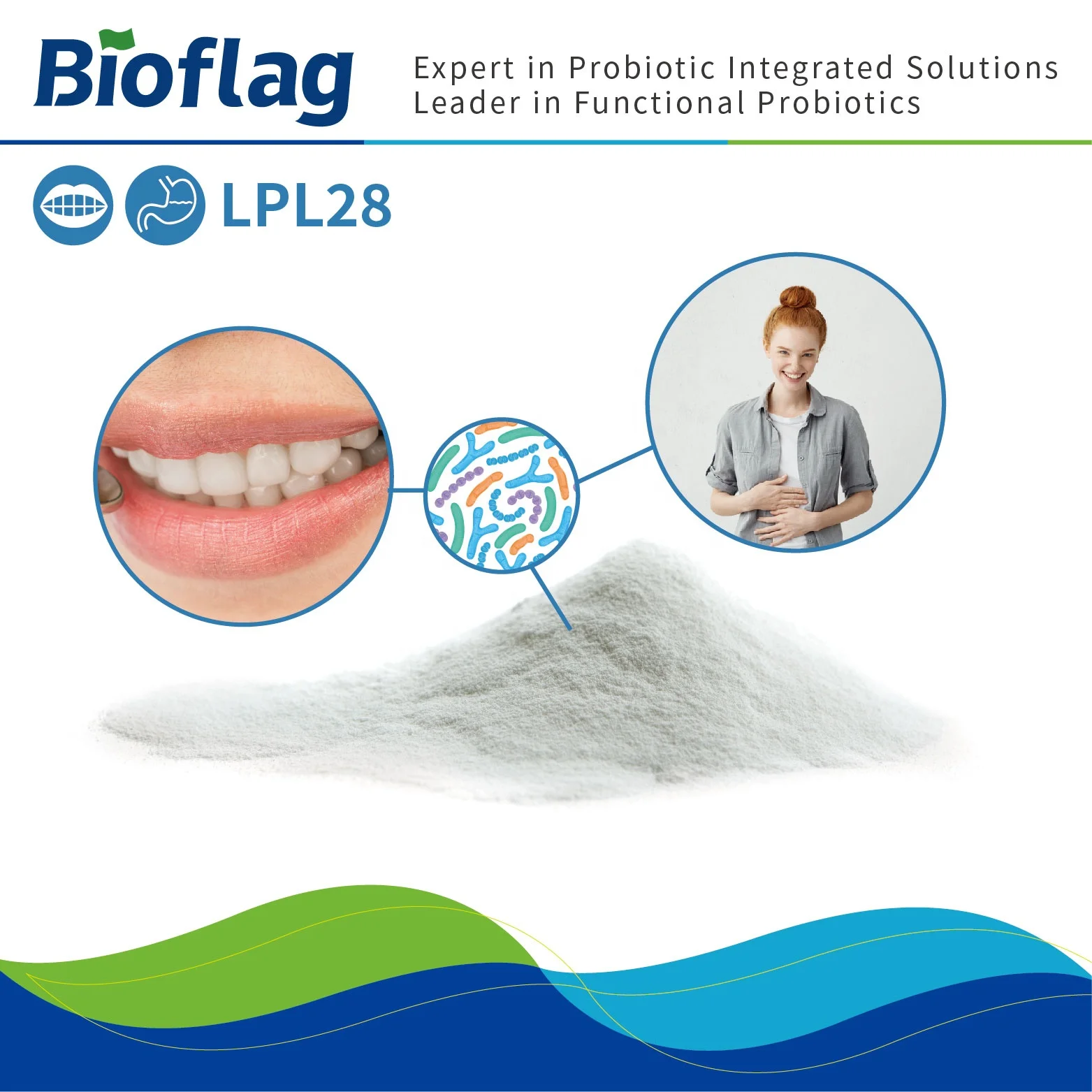 
Probiotics for ulcer treatment Lactobacillus plantarum LPL28 Caries prevention Oral tablet 