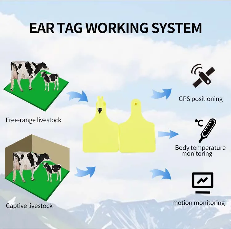 E-017 UHF Long Range Animal RFID Cow Cattle TPU Ear Tag For Cattle With Chip Tracking Management System