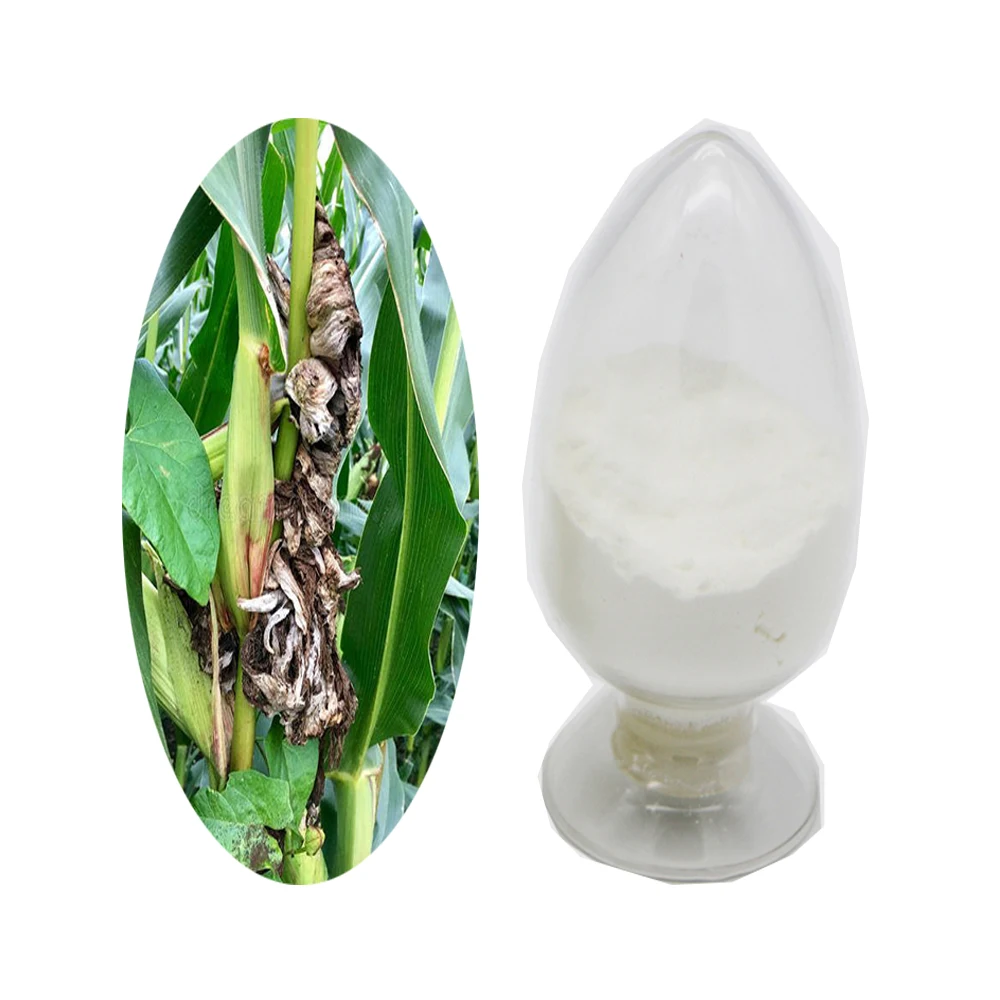 
 Фунгицид карбоксин 75% WP 25% SL 20% EC 20% WP, карбоксин тирам, цена  