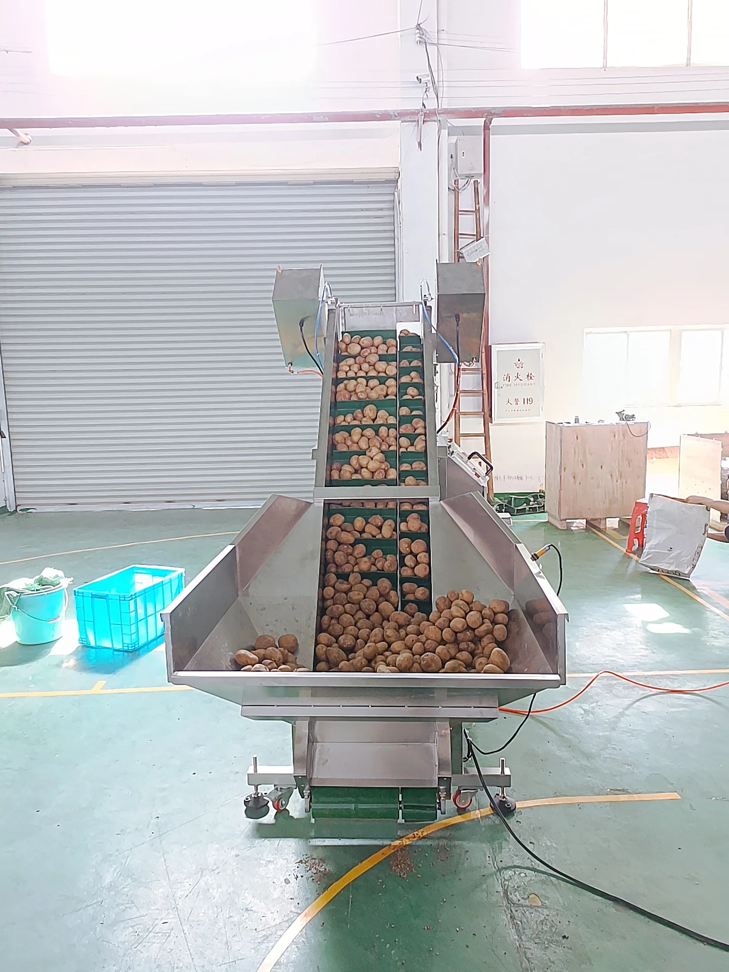 Customized auto 5kg 10kg 25kg single head belt linear weigher potato onion belt filling packing machine