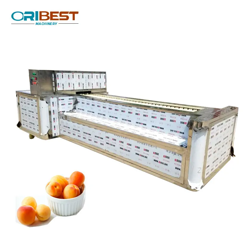 User friendly design Cherry Pitting Apricot pit remove core machine / fruit Cherry pit stone remove machine