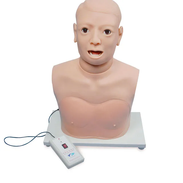 Pharynx and Larynx Examination Model (electronic monitoring)