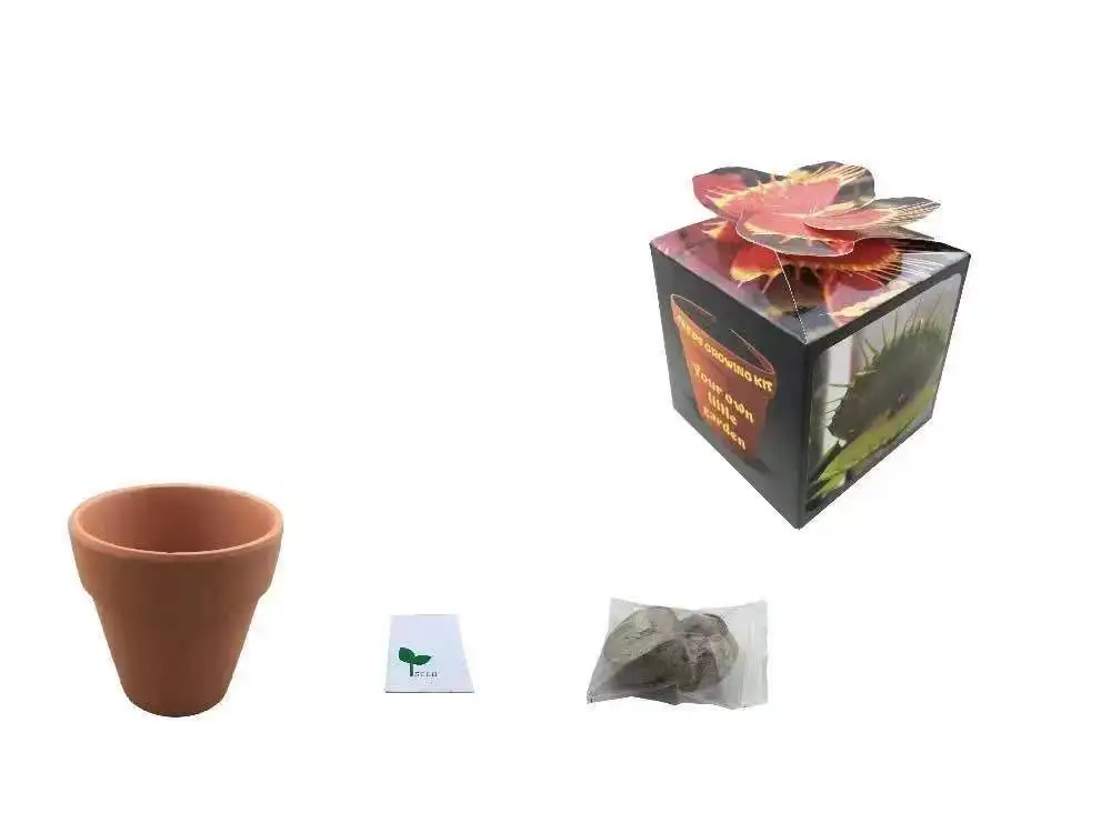 
Lucky angel bonsail gift cartoon suit cute ceranic grass dolls 