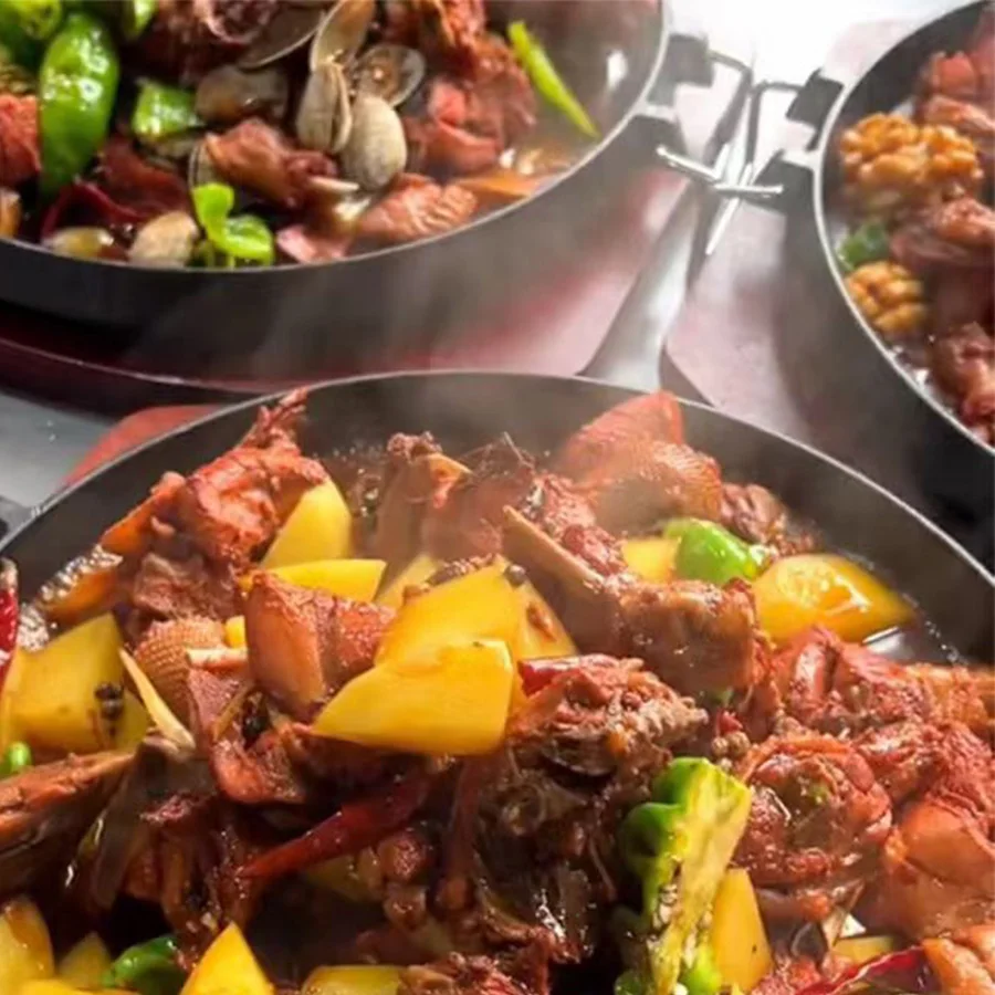 Morden style cast iron non stick cookware frying bread pan deep hot stewing pot