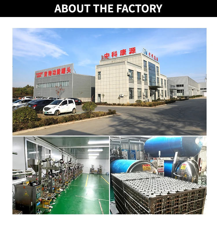 Рекрут агента OEM ODM оптовая продажа 15 г для здоровья и питания мешочек Влажного Корма кошек wanpy корма домашних животных