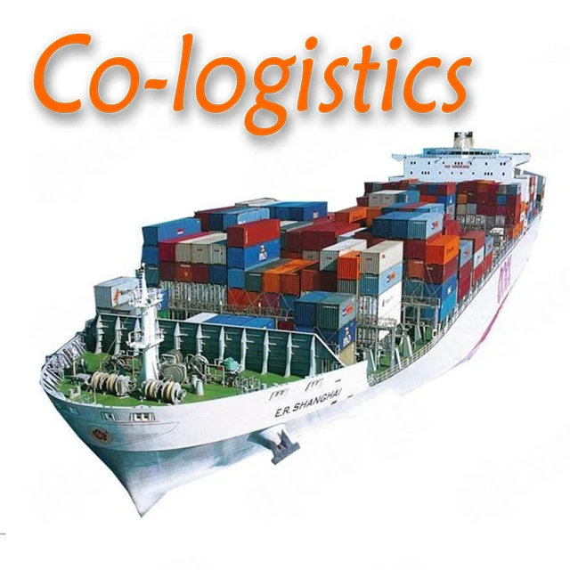 Sea Freight Services:FCL Door to Port Transportation from China to The United Arab Emirates with Cheap Price