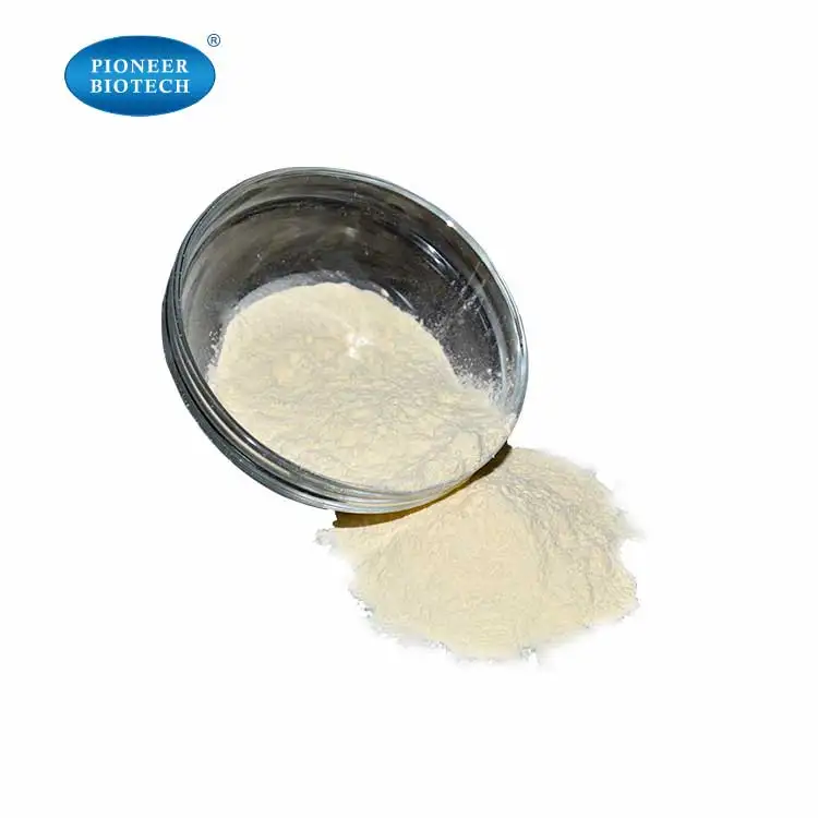 Chickpea protein powder