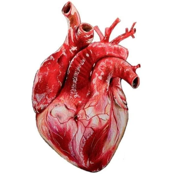 Effectiveness of EECP Treatment on Symptom Burden,  Cardiac Anxiety,  Quality of Life in Patients With Refractory heart disease