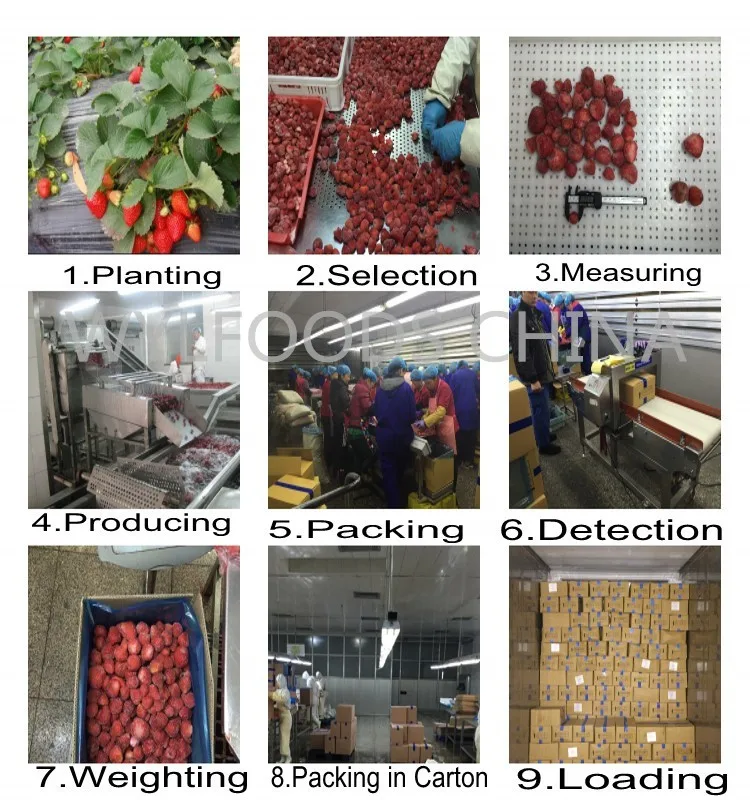 Bulk Package Factory Price High Quality of Iqf Frozen Strawberry Supplier for Sale in China/egypt