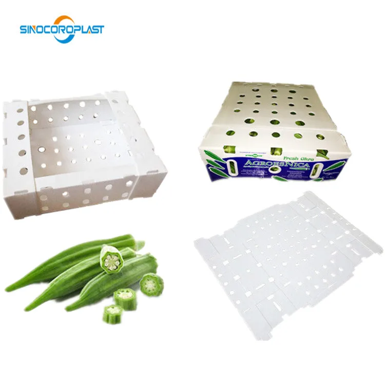 Factory Price okra box Vegetables boxes Plastic Okra Packaging Boxes For Packing fruit and vegetable containers