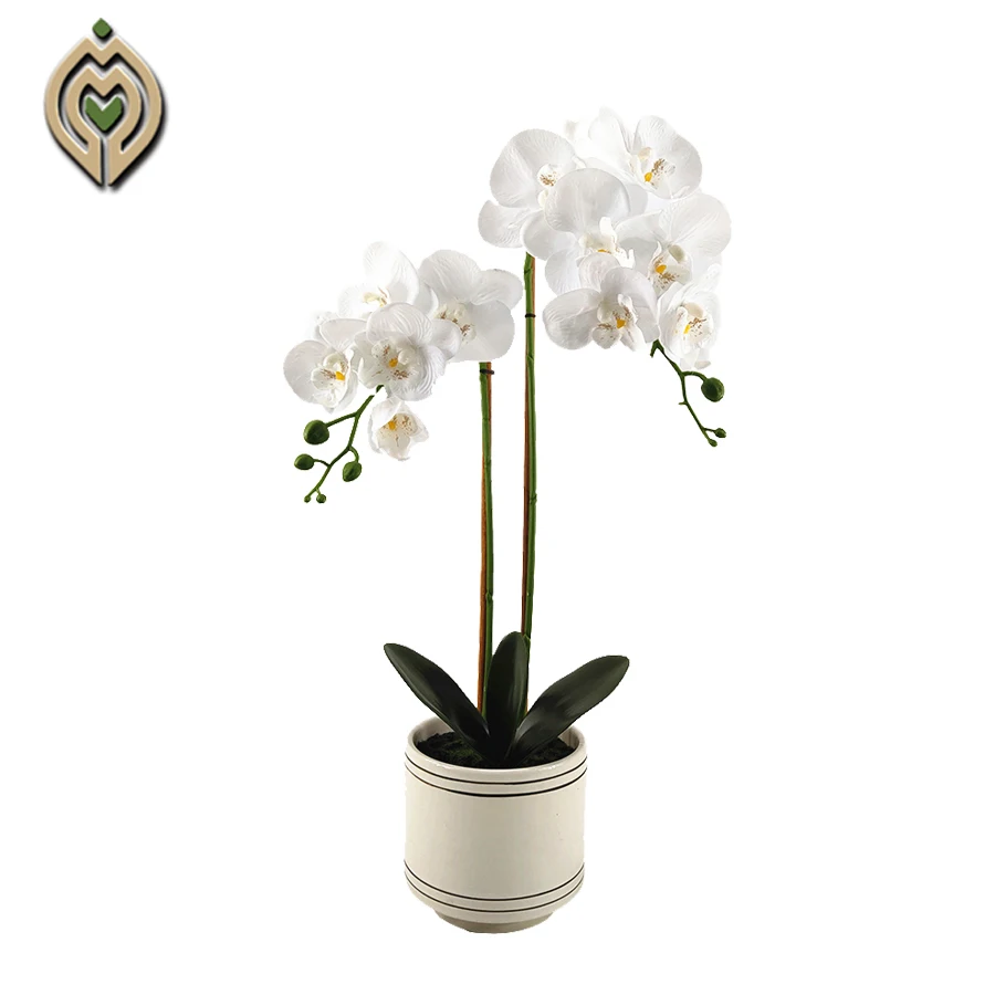Wholesale Butterfly Phalaenopsi Orchid Artificial Latex Simulation Flower With Pot Decorative