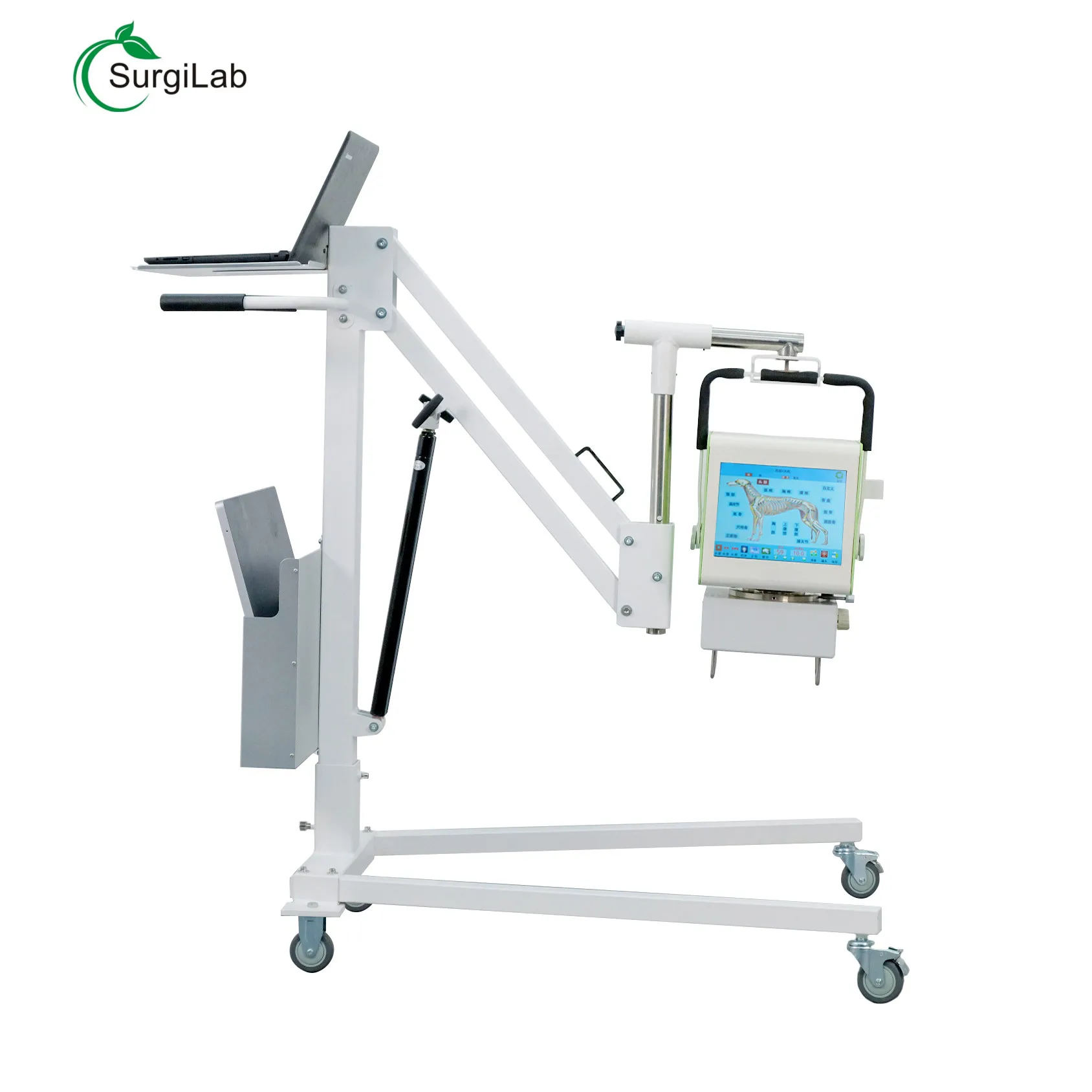 Electric Medical X-ray Equipments Veterinary X Ray Machine Machine 5kw C Arm Dr Medical  Price For Pet Animal Veterinary