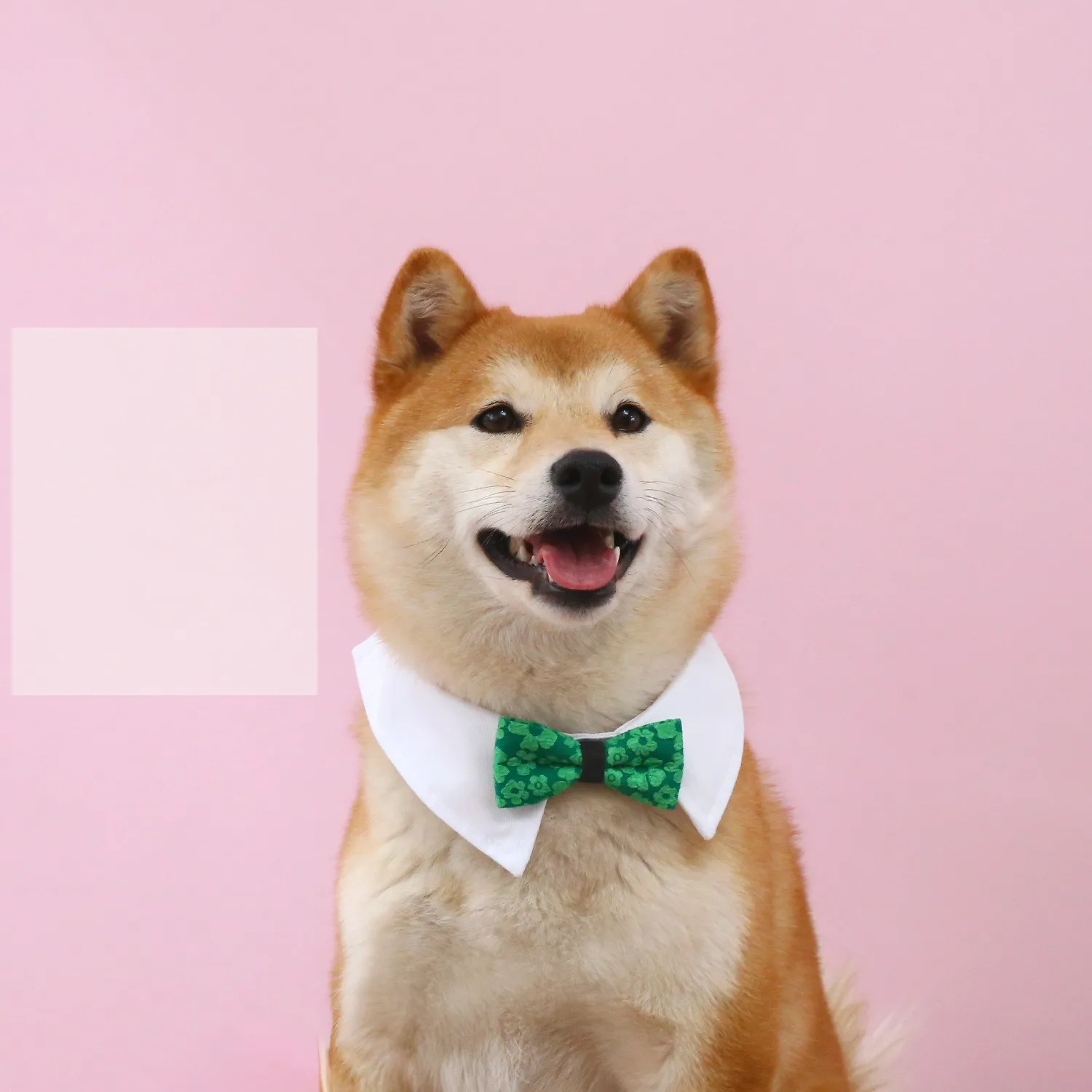LM0220G Pet Velvet Necktie Cat dog collar Dog butterfly wedding bow tie