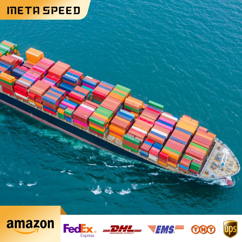 China sea ocean freight forwarder shipping agent rates from ningbo guangzhou xiamen to usa/Canada/Australia/Germany/UK/mexico