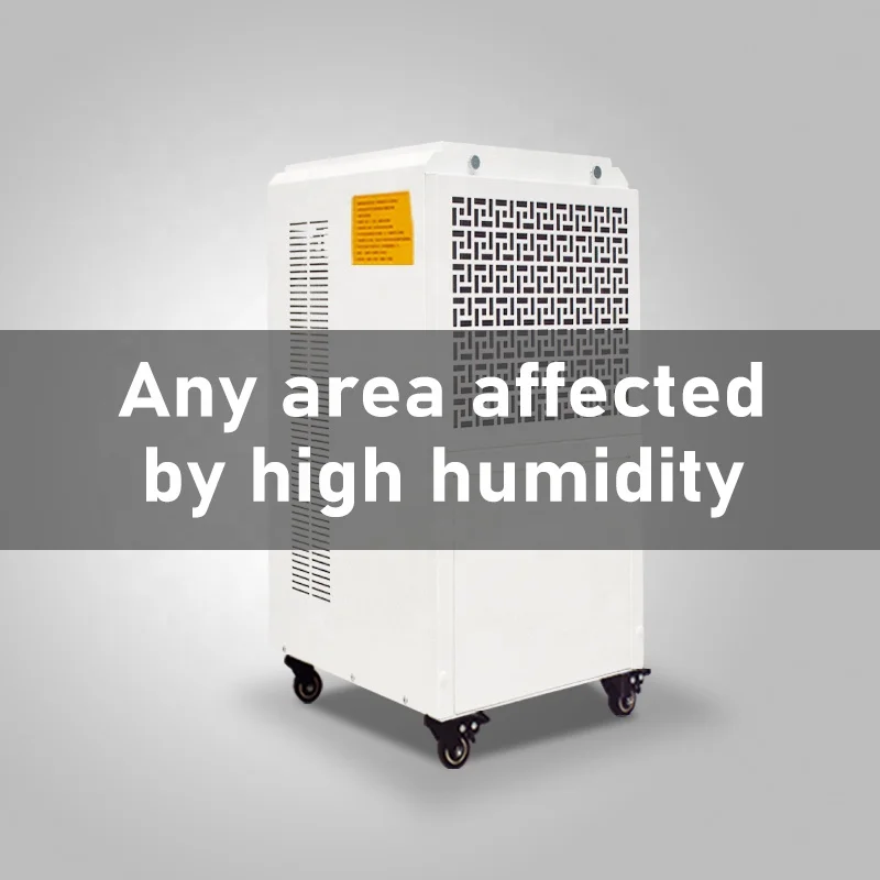 Hot Sale 38L Compressor Dehumidifier for Home & RV Office Use Automatic Defrost with Remote Control & Removable Water Tank