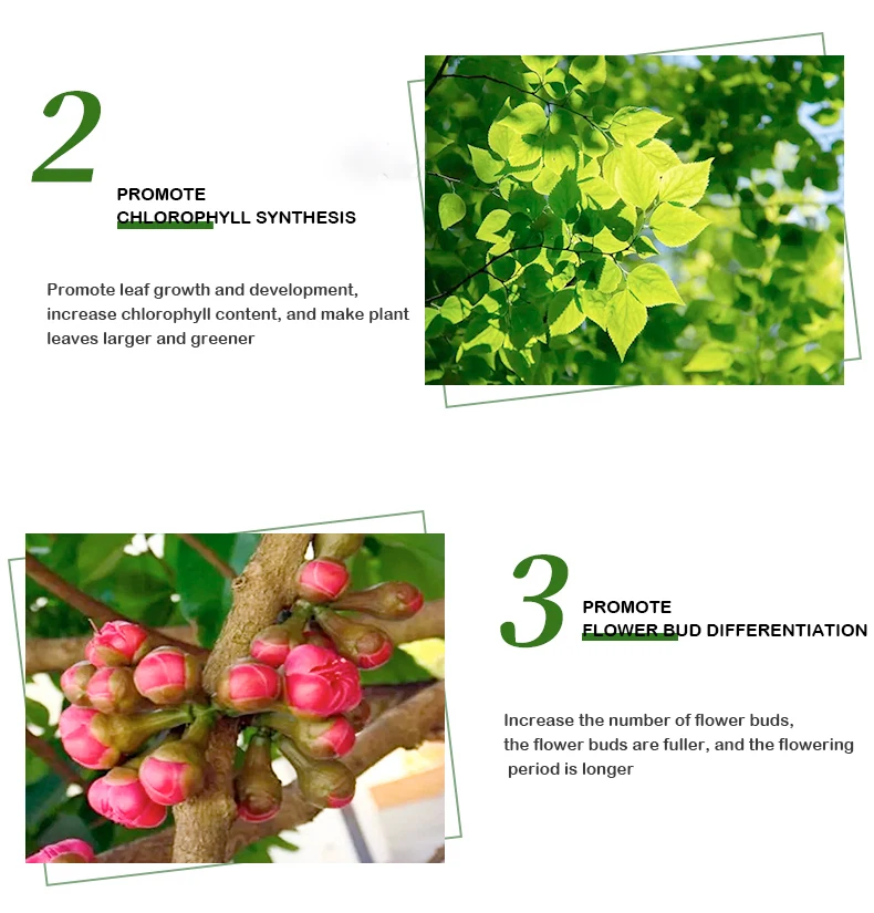 Оптовая продажа, бренд oem, бутылка 1000 мл, жидкость для сада, роза, Подсолнух npk 6 5 6, производители удобрений из Китая